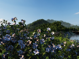 lake Modèle 3D