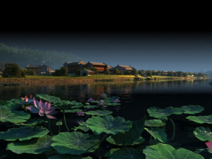 lotus pond 3D Model