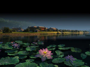 lotus pond 3D Model