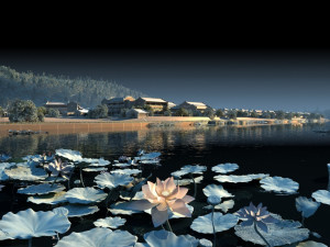 lotus pond Modelo 3D