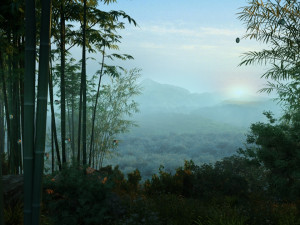 bamboo forest 3D Model