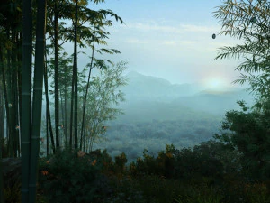 bamboo forest 3D Model