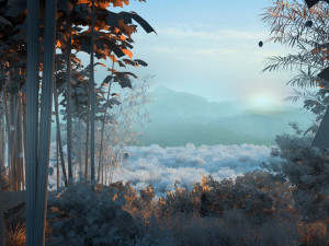 bamboo forest 3D Model