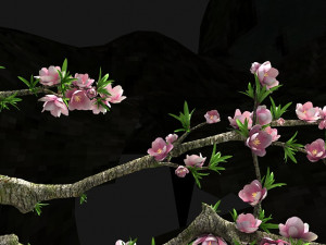 peach blossom 3Dモデル