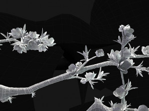 peach blossom 3Dモデル