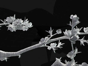 peach blossom 3D Model