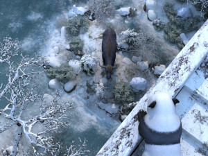panda 3D Model