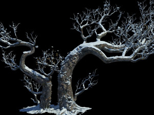 dead tree 3D मॉडल