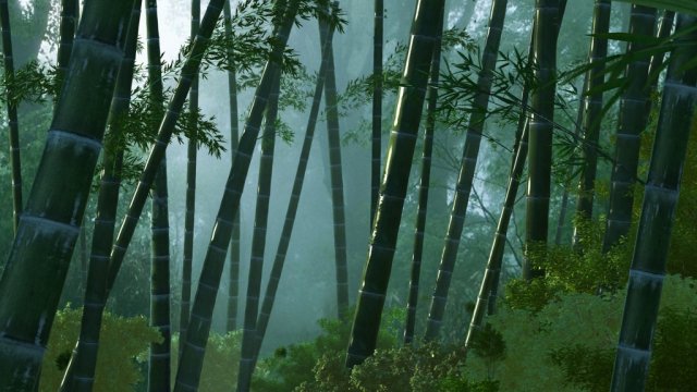 bamboo forest Modelo 3D .c4d .max .obj .3ds .fbx .stl .blend 
