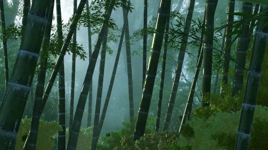 bamboo forest 3D Model .c4d .max .obj .3ds .fbx .stl .blend 