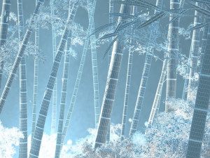 bamboo forest Modelo 3D