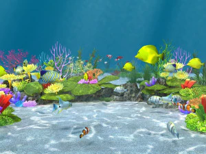 seabed 3D Model