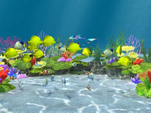seabed 3D Model