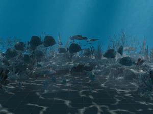 seabed 3D Model
