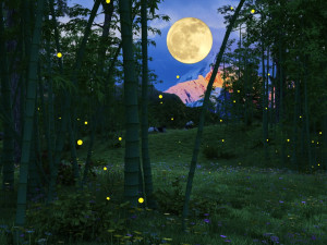 bamboo forest panda 3D 模型