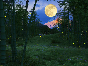 bamboo forest panda 3D 模型
