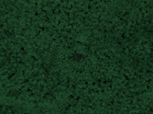 bamboo forest panda Modèle 3D
