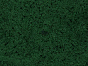 bamboo forest panda 3D Model