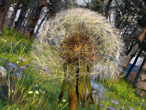 dandelion Modelo 3D