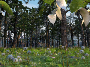 dandelion 3Dモデル