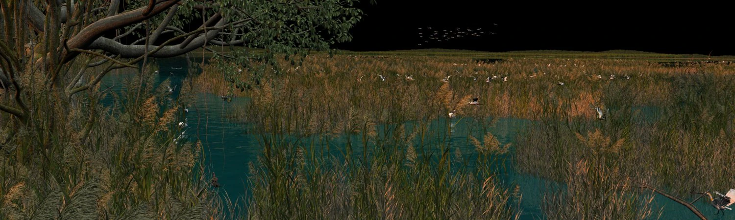 wetlands 3D Model .c4d .max .obj .3ds .fbx .stl .blend
