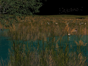 wetlands Modello 3D