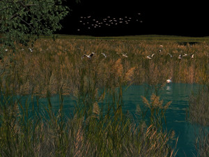 wetlands 3D Model