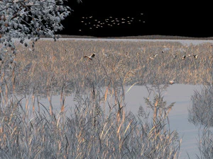 wetlands 3D Model