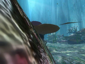 seabed 3D Model