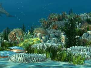 seabed 3D Model