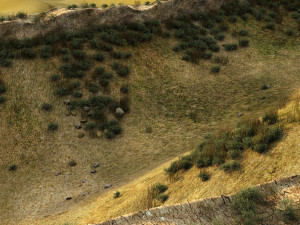 desert 3D Model