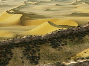 desert 3D Model