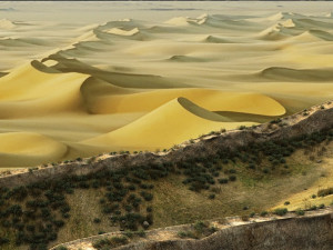 desert 3D Model