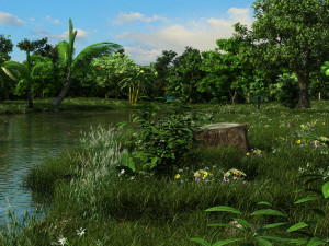 forest 3D 모델