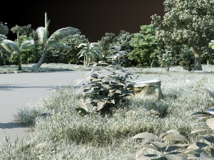 forest 3D 모델