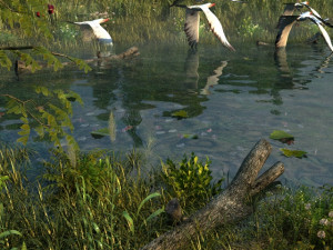 wetlands 3D 모델