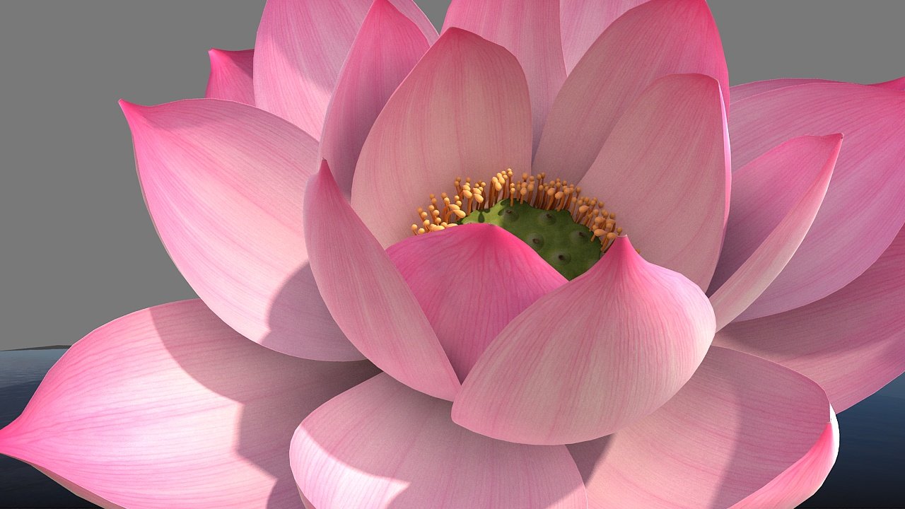 3d-lotus.com