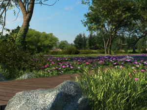 wetlands 3D Model