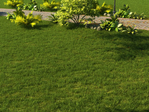 city building 3D Model