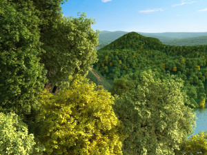 mountain 3Dモデル