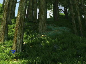 foresta Modello 3D