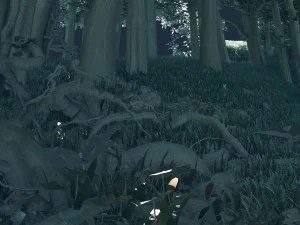 forest 3D Model
