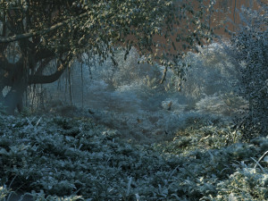 forest Model 3D