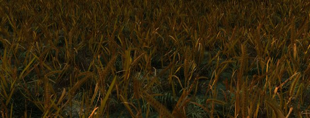 wheatfield Modèle 3D .c4d .max .obj .3ds .fbx .stl .blend 