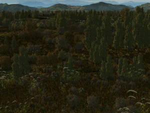 wheatfield 3D Model