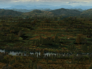 wheatfield Modèle 3D