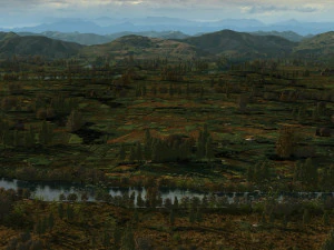 wheatfield 3D Model