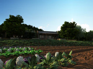 rural 3D Model