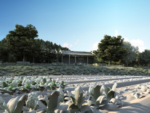 rural Modelo 3D