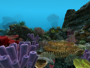 seabed 3D Model